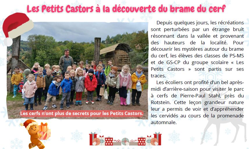 Les Petits Castors à la découverte du brame du cerf