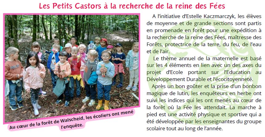 Les Petits Castors à la recherche de la reine des fées