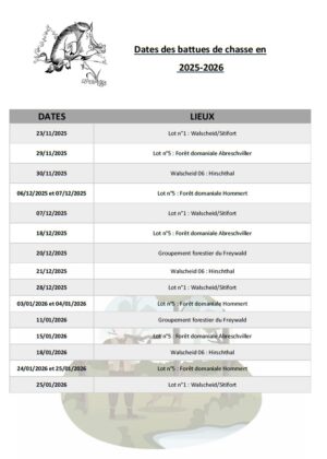 Battues 2025-2026